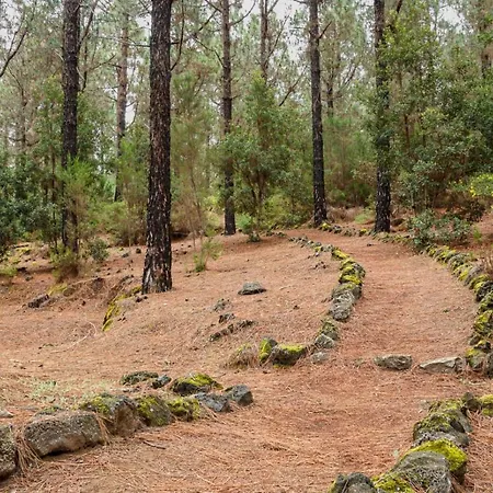 San Jose De Llanos * San Jose De Los Llanos