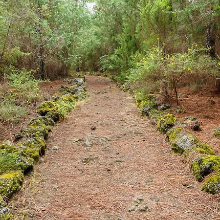 San Jose De Llanos * San Jose De Los Llanos