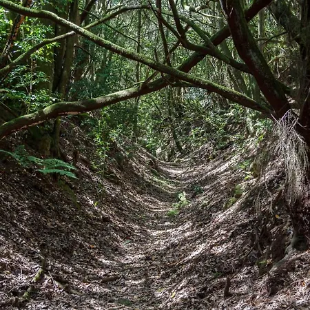 호스텔 San Jose De Llanos San Jose De Los Llanos